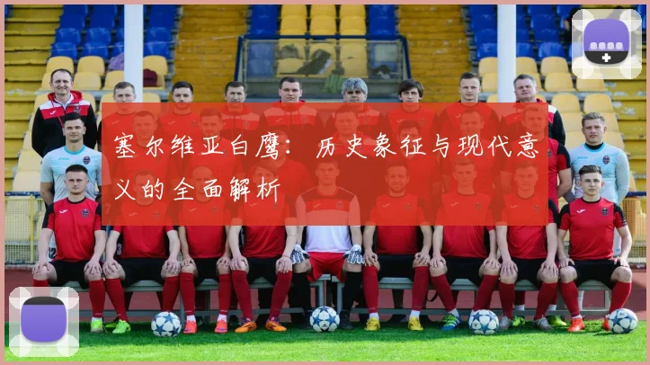 塞尔维亚白鹰：历史象征与现代意义的全面解析